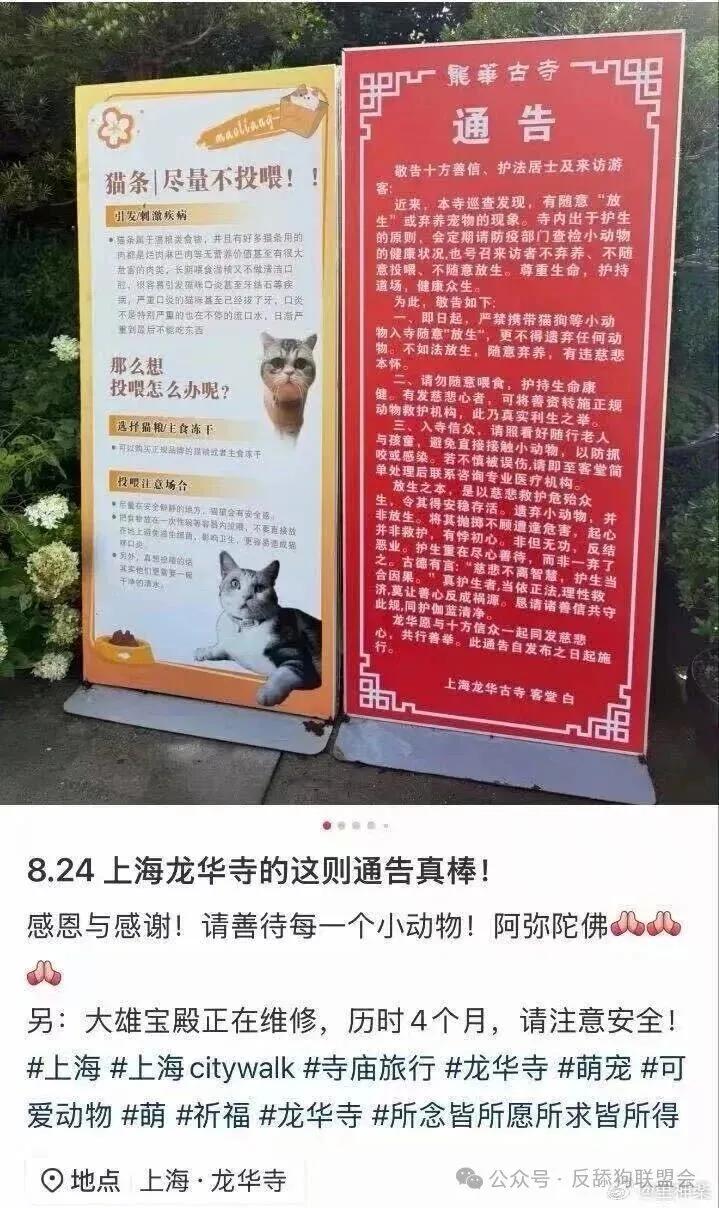 上海龙华寺已成肆意弃养的猫咪坟场[石化]

把猫狗当宠物，本来就不是什么动物保护