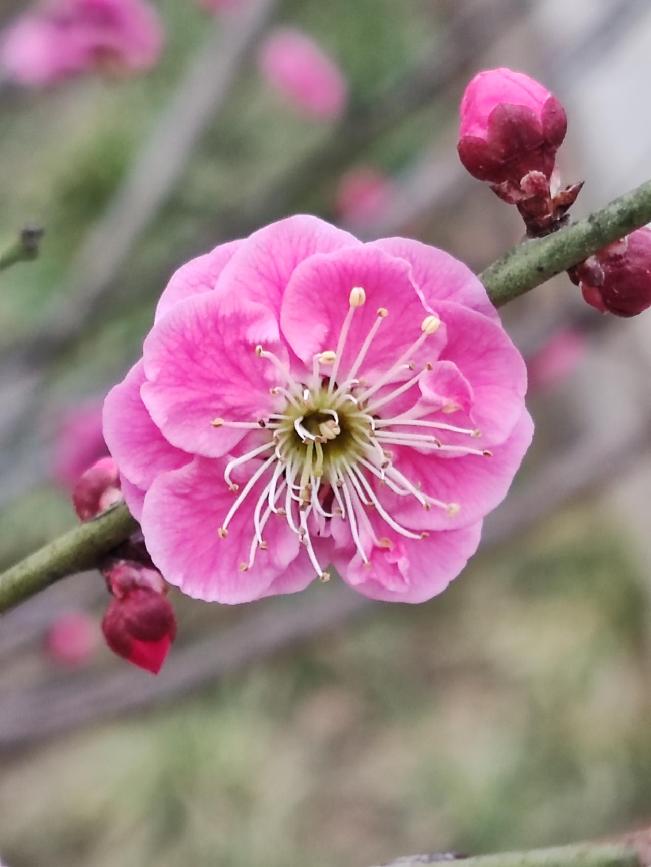 人活着的目的在于追求开心。然而，开心的前提是生存于世，而生存的基础则是拥有金钱。
