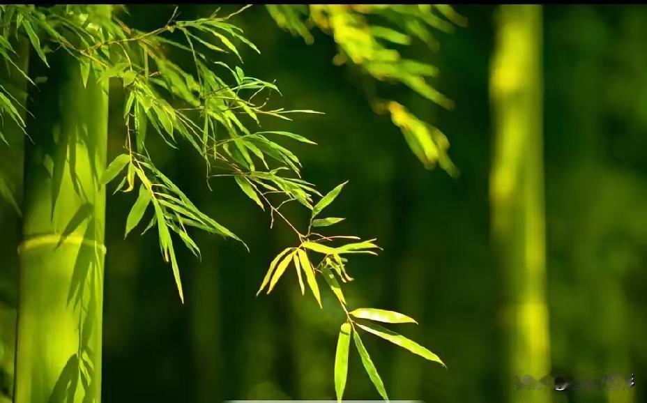 天净沙·幽居
幽篁独坐云舒，
闲诗淡酒一壶。
尘嚣全然不顾。
翠筠春暮，
清风伴