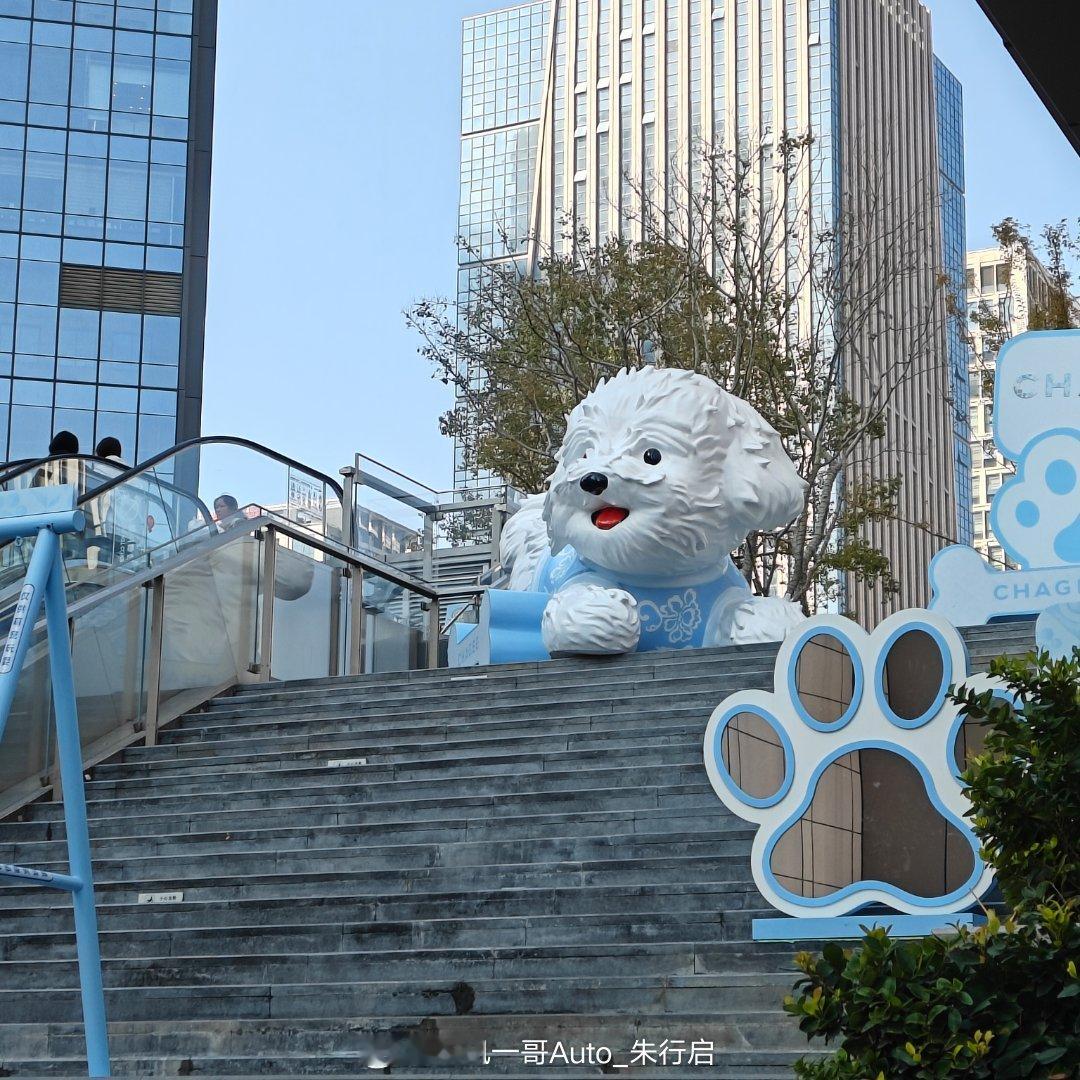 吃饱了去溜达溜达感觉现在路上多了很多潮玩联名不知道霸王茶姬的联名是哪个ip感觉看