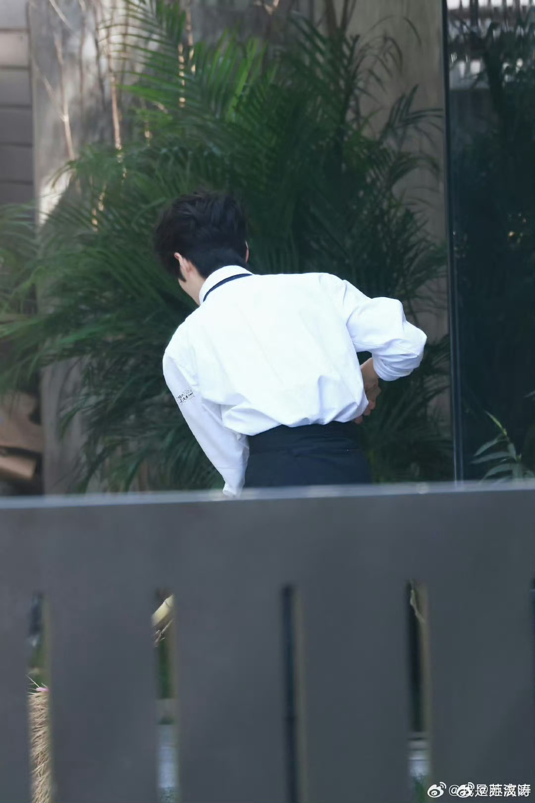 井胧 走到哪收拾到哪是种天赋 扫把在手，干净我有！井胧这收拾天赋绝了，到哪儿都闲