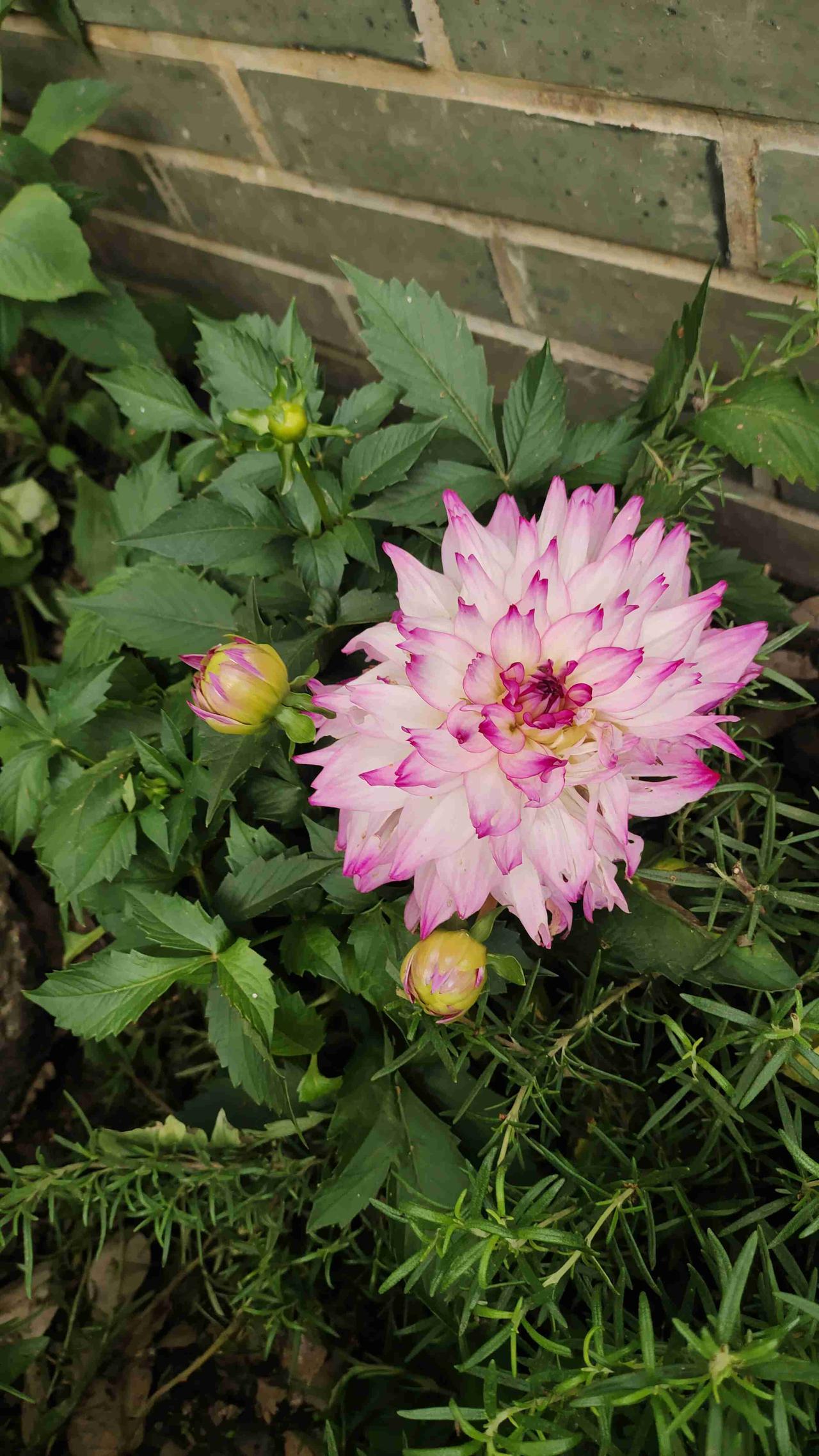 我的今日状态：😁轻松愉快
我这里的天气：☀️晴天