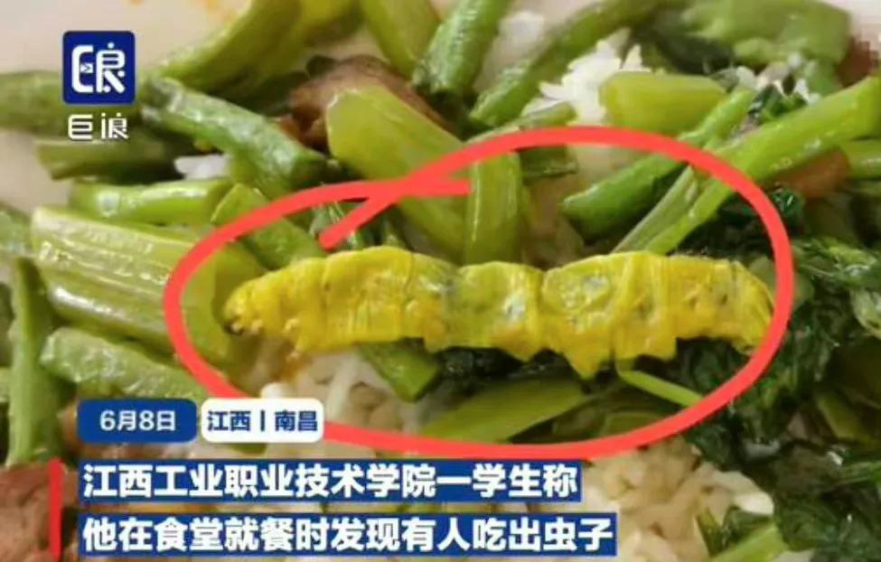 同一个学校，同一个食堂，“鼠头鸭脖”的风波尚未停歇，这“青虫辣椒”的风波又起。这