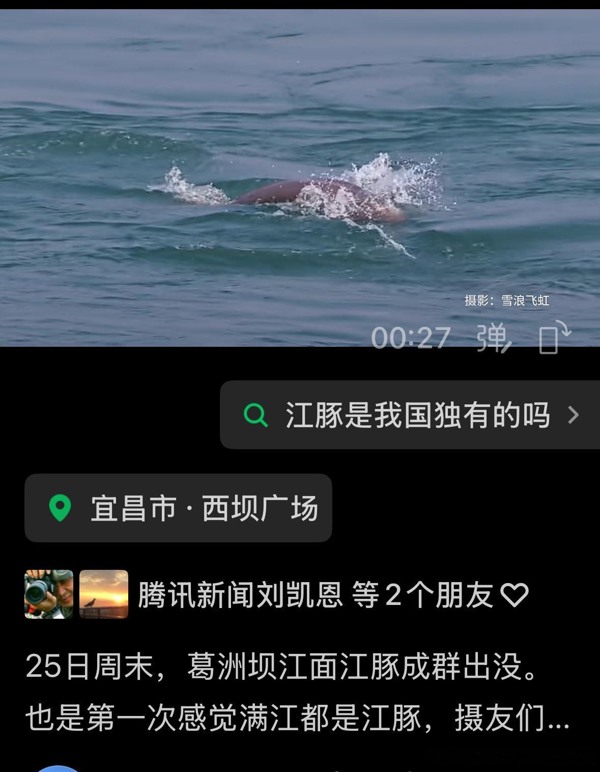 楚流中断坝难拆，江豚洄游到此哀。人工繁殖如圈养，都是育儿中心来。        