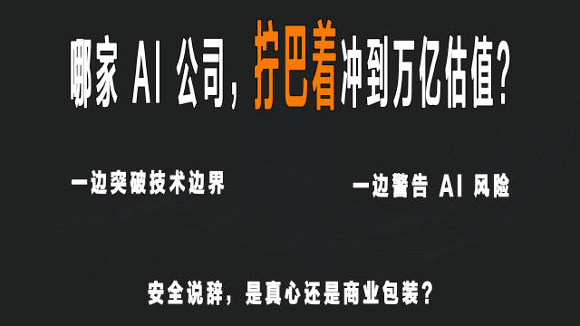 深度拆解 AI 行业的矛盾现象，
同样做顶尖大模型，
一边突破技术边界，
一边提醒 AI 风险。
当