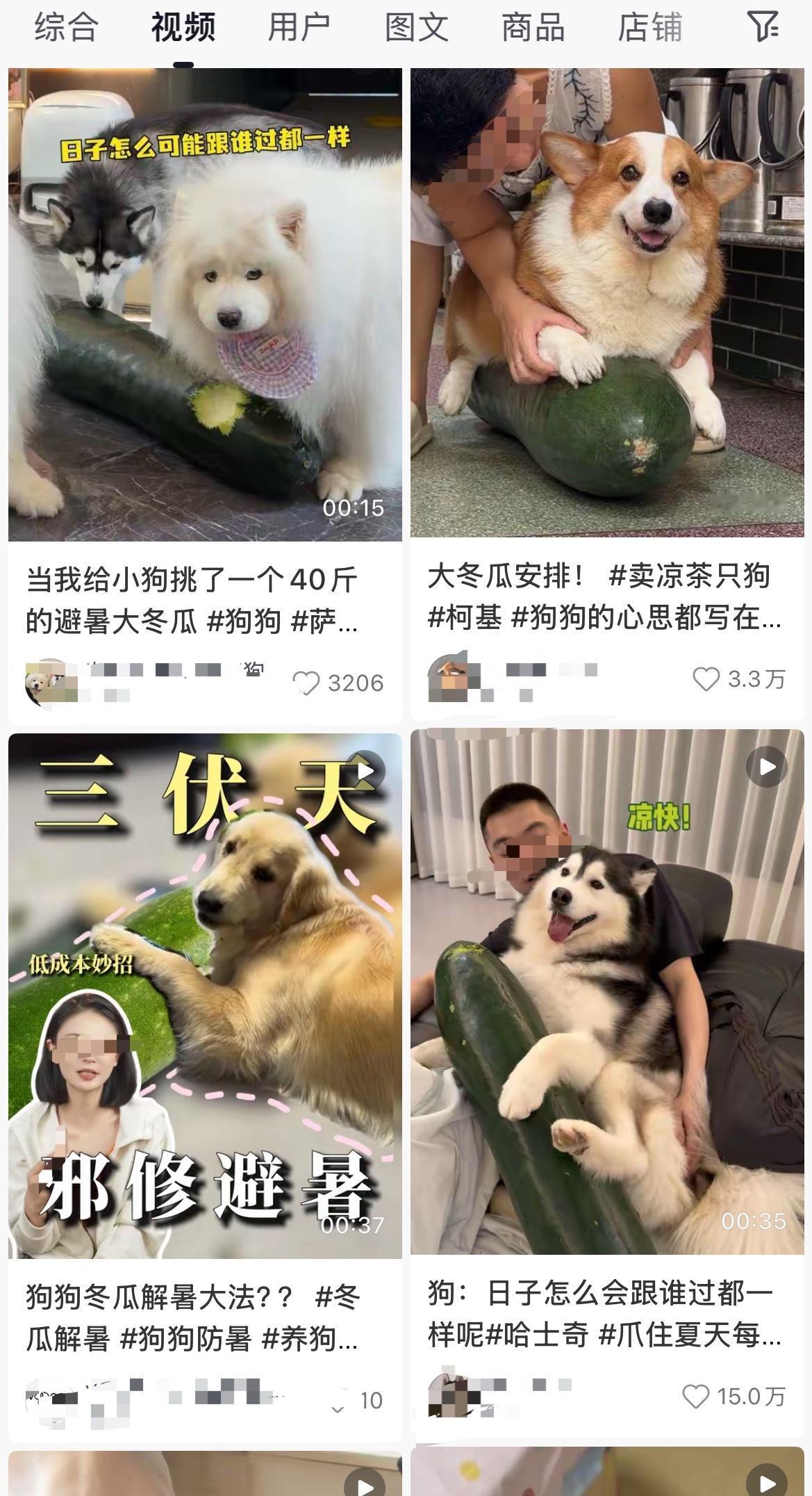 给狗买的居多，全是跟风的。女子抱冬瓜睡觉没几天炸了满屋恶臭