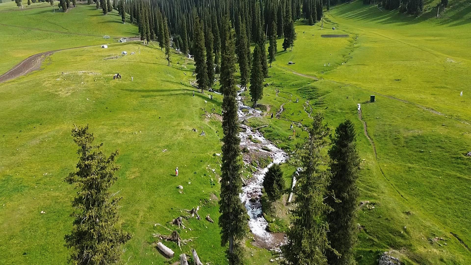 为什么善良的聪明人几乎都不合群 非常厌恶拉帮结派  因为善良的聪明人不...