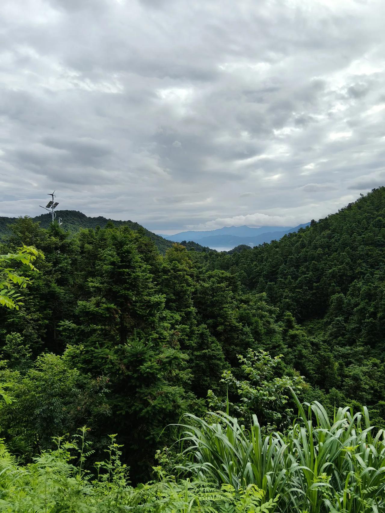 每天都热的要死，大雨会给我们的环境降温，降温结束，我们就要享受着湿润的空气，和美
