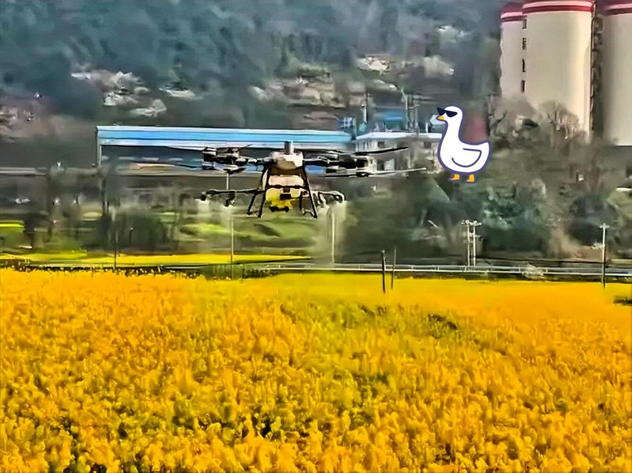 这两天，为无人机花期喷药洗地的声音突然扎堆出现，看着就像统一口径一样，实在让人忍