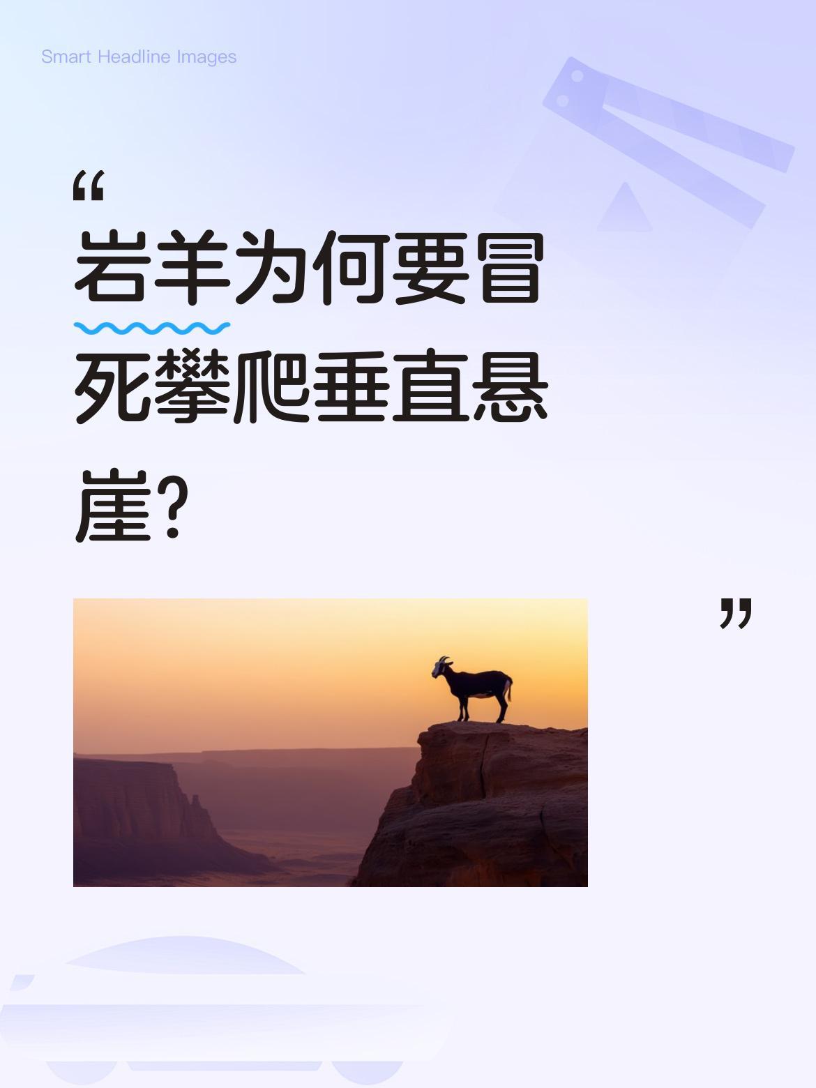 岩羊为何要冒死攀爬垂直悬崖？
它们能在200米高的垂直崖壁上行走，用比拇指还小的