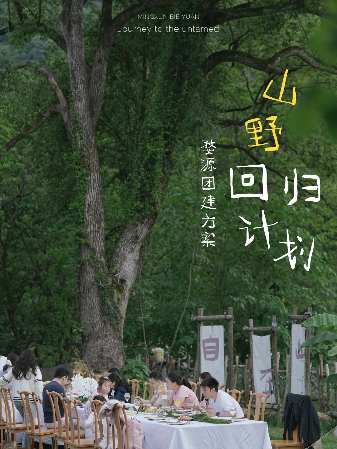 打工暂停！婺源在山野治愈系🌿团建方案