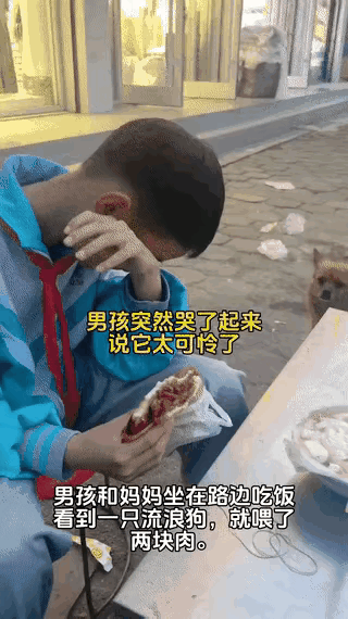 暖心一幕！母子路边就餐，流浪小狗怯生生靠近，男孩善意举动太治愈
 
生活里总有不