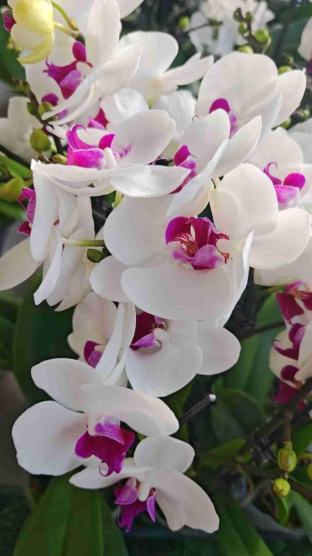 我的今日状态：😁轻松愉快
我这里的天气：☀️晴天