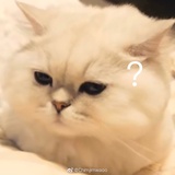 晴烟热读科技