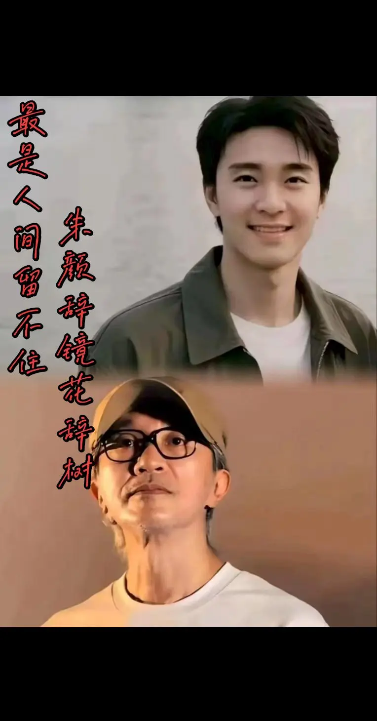 明星老了，我们也老了，致敬一代人，致敬青春