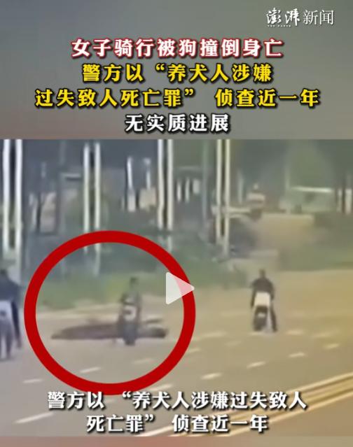 难以接受！5月27日报道，河北邯郸一女子被窜出的格力犬撞倒身亡，而狗主人在事故后