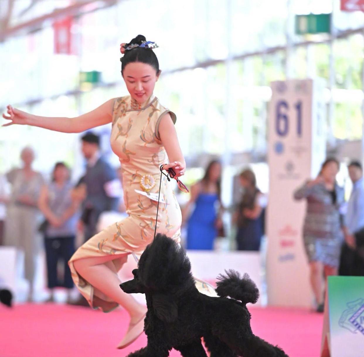 42岁的霍思燕如今将重心放在养犬与赛犬上，她还救助过被遗弃的实验犬，用心照料毛孩