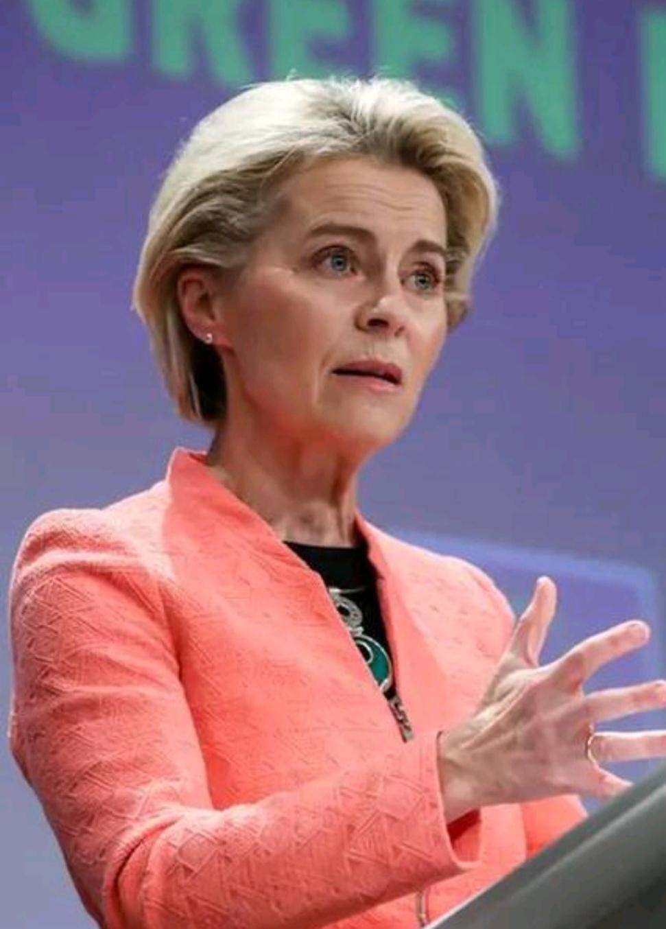 冯德莱恩指责俄罗斯禁止出口汽油！

近日，欧盟委员会主席冯德莱恩指责俄罗斯禁止出