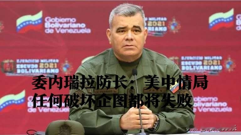 委内瑞拉防长：美中情局任何破坏企图都将失败

   据外媒报道当地时间23日，委