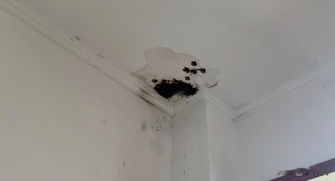 顶楼漏水，想要启动大修基金，我该不该同意签字？

前几天我们这边下雨，顶楼的住户