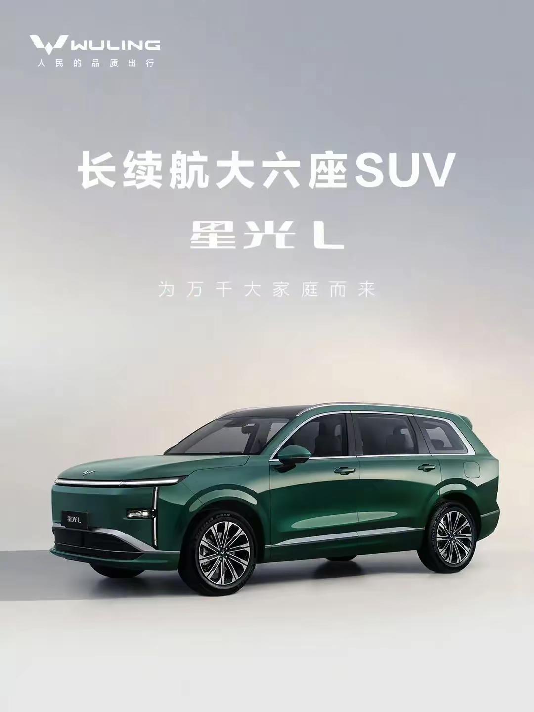 进入世界500强的4大中国车企：
1、上汽集团
2、比亚迪
3、吉利汽车
4、奇