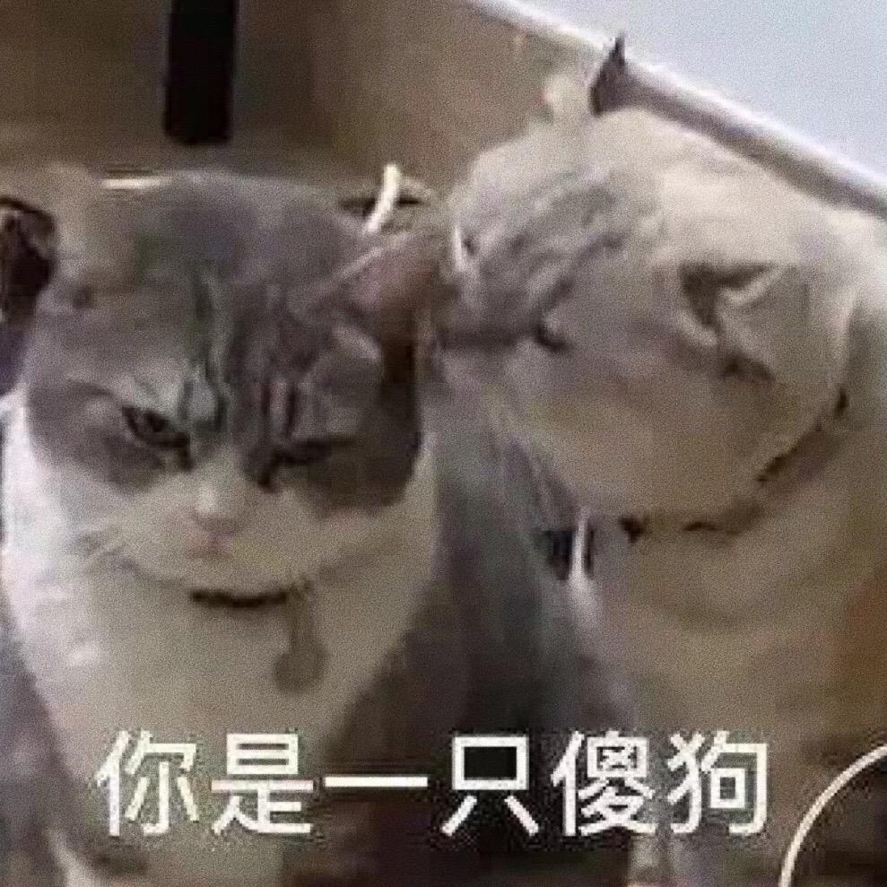 你是一只……#创作灵感 #表情包