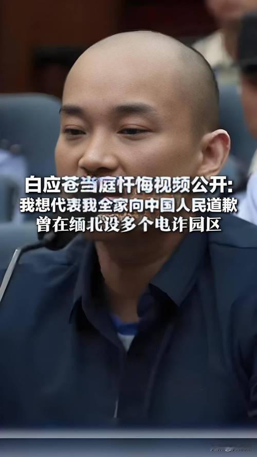 白应苍说：我痛恨自己的无知，自己的愚蠢，我痛恨自己无节制的贪欲和短浅的目光，我终
