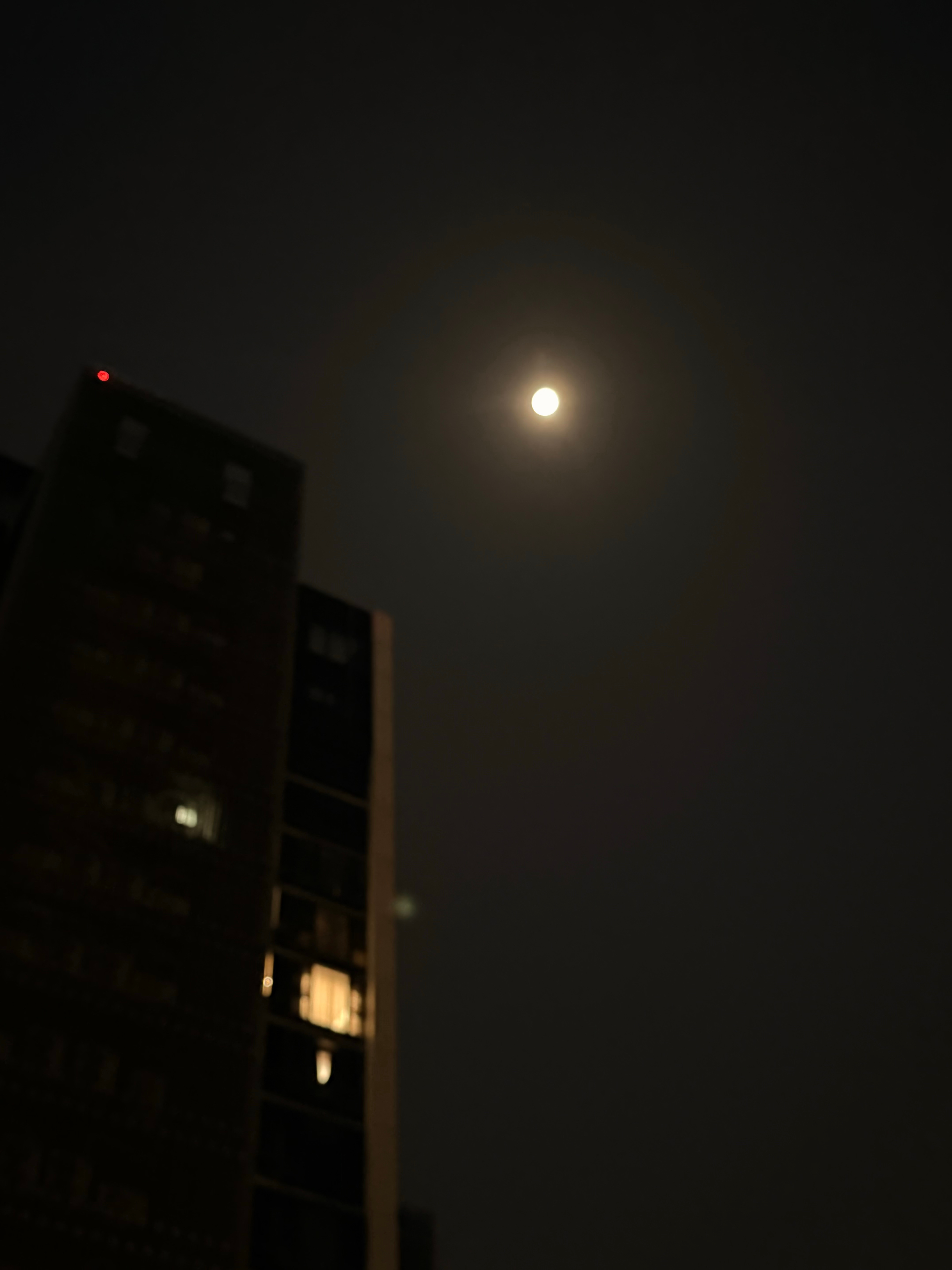 中秋快乐贝贝们  记得吃月饼看月亮 我在🌙的另一头也在想你们～ 
