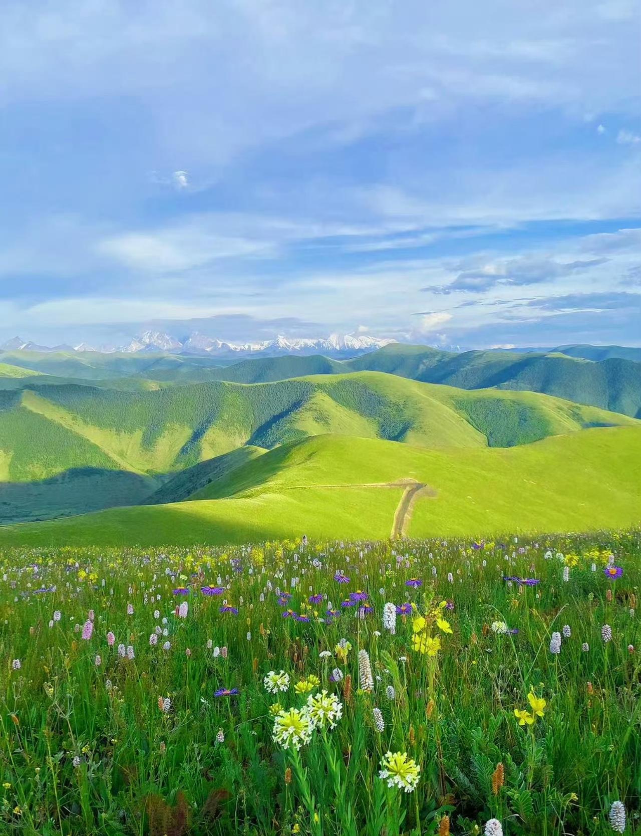 昨天跟一个学生家长聊天，学生家长原来对孩子的学习成绩非常的关心，自己也非常的优秀