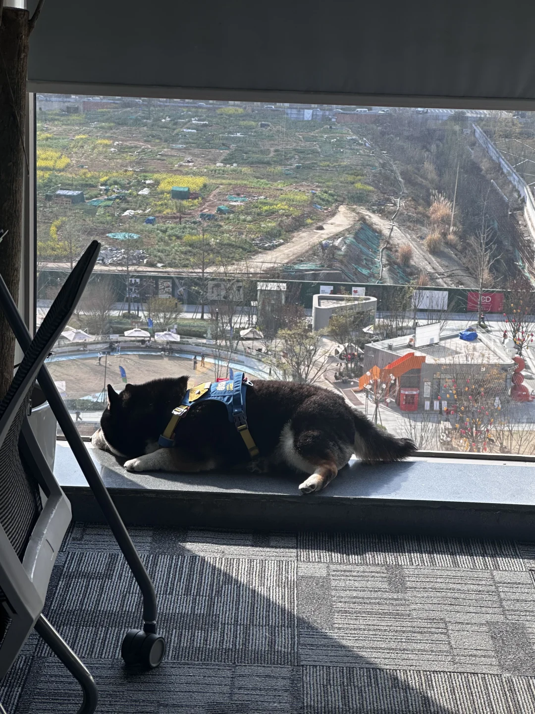 在内陆城市养海参