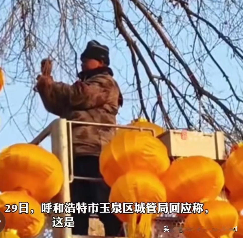 为什么今年很多地方挂黄灯笼?
主要是:
1. 五行“泄火”
2026年是农历丙午