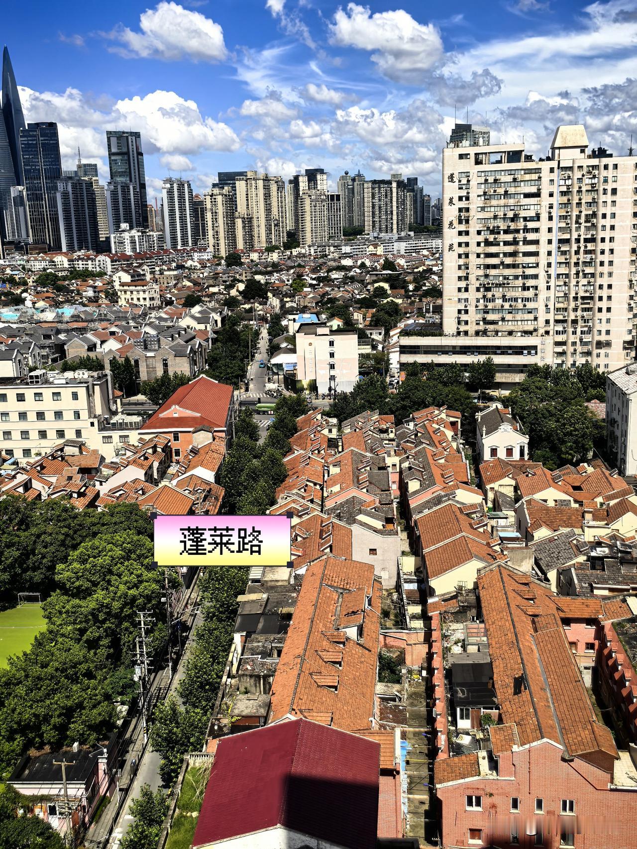 白云悠悠，蓝天澄澈，老城厢的景致美得令人心颤。

一眼便能阅尽百年上海：

脚下