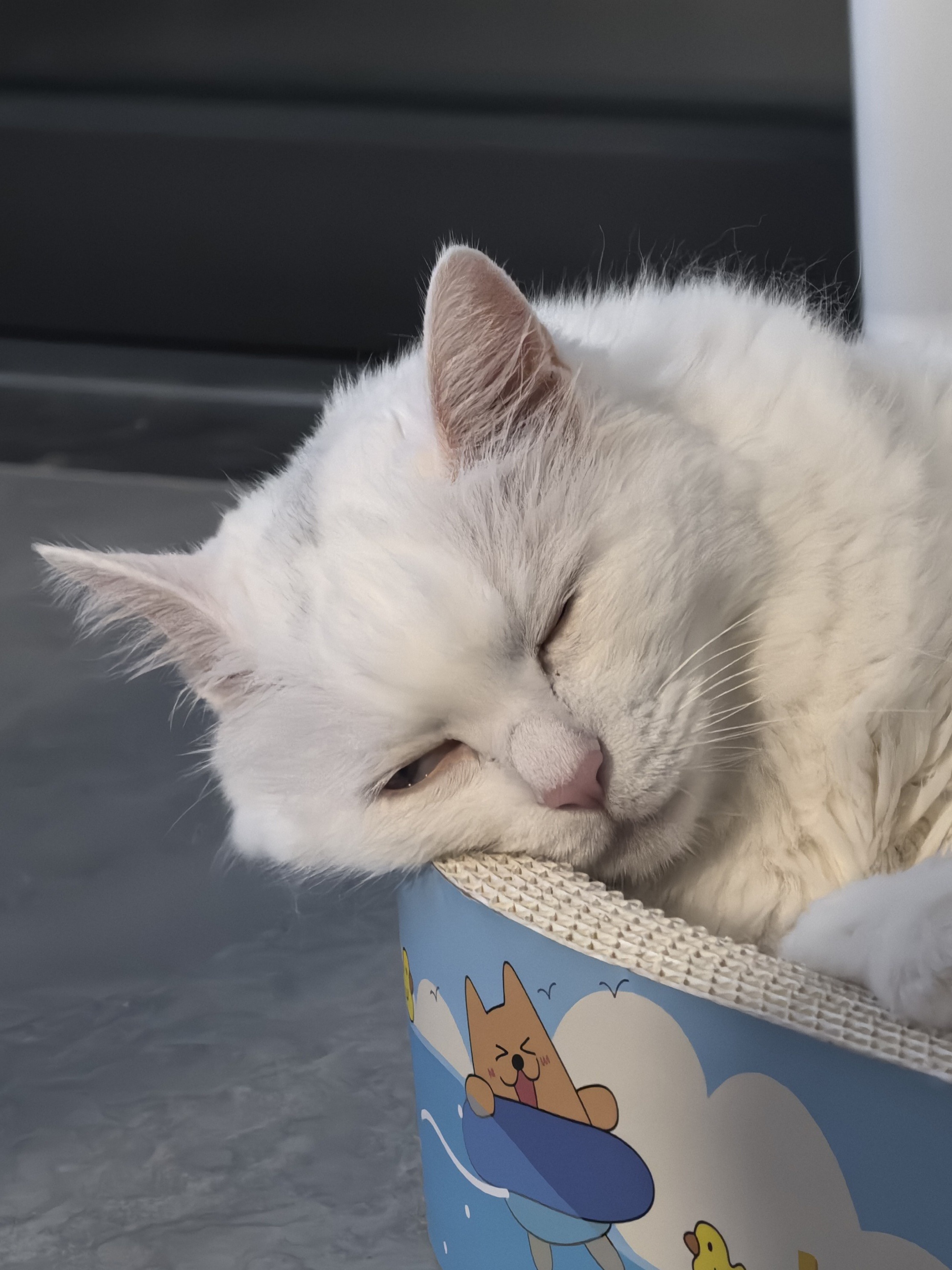 我一个强迫症为什么会把你养得这么乱七八糟的？你们射手座是不是克我