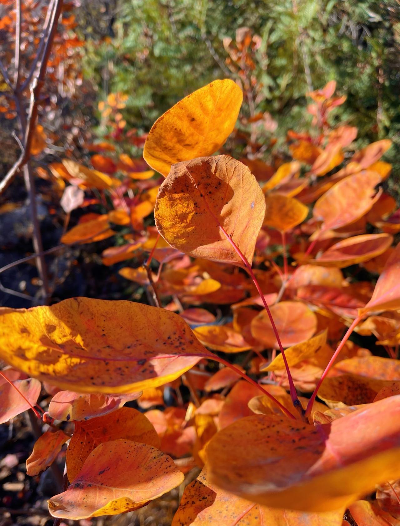 📍北京 舞彩浅山滨水国家登山步道
🌿「舞彩浅山滨水国家登山步道」「舞彩浅山滨