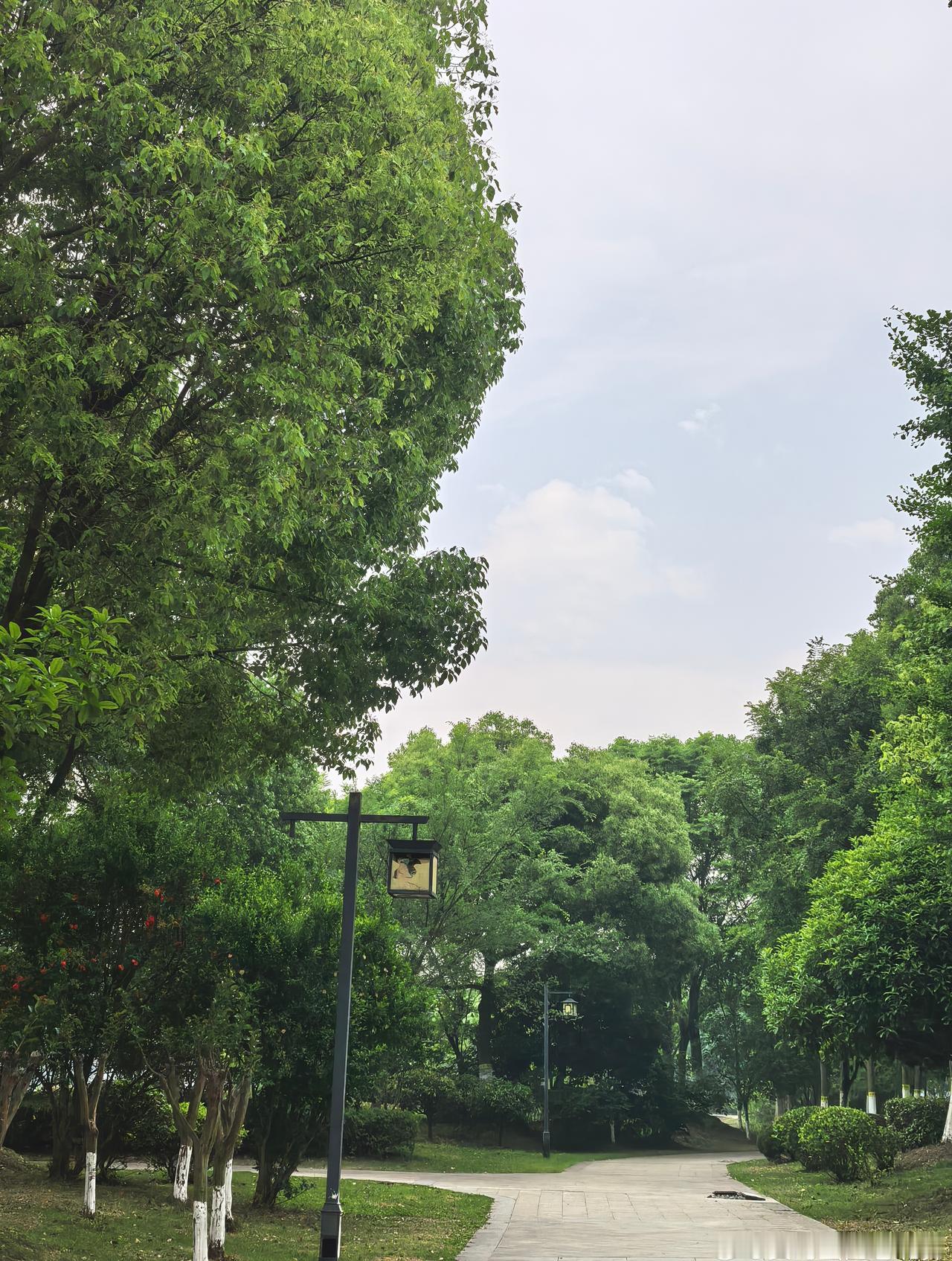 看见多地将迎暴雨大暴雨。虽然我们这儿不是暴雨但好像也不小。预报9点有雨。在下雨之