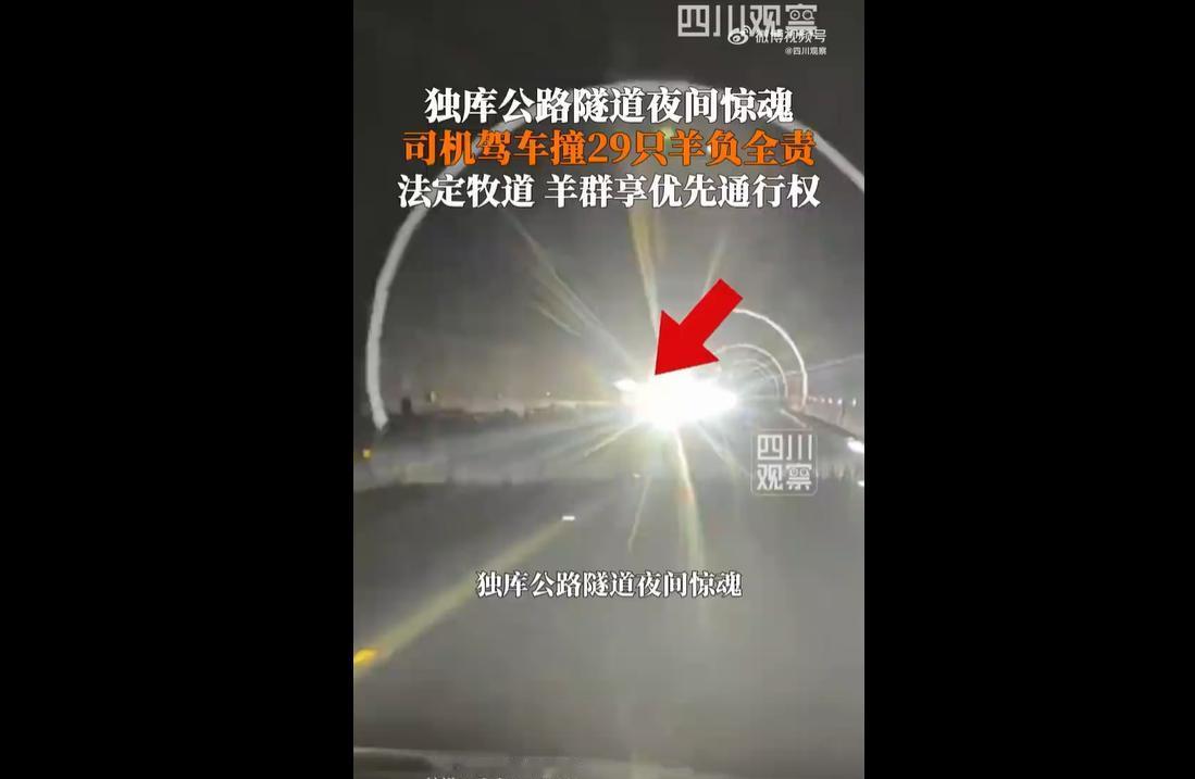 2026年6月8日深夜23时许，新疆独库公路卡尔脑隧道发生一起特殊交通事故。
该