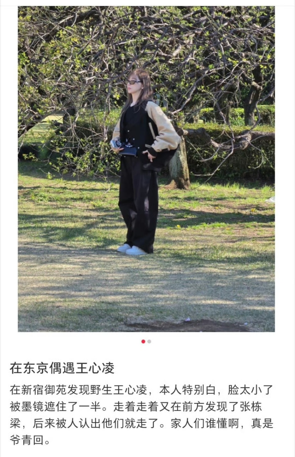 东京偶遇王心凌  偶遇王心凌张栋梁画面温馨，像一场温柔的重逢。 东京偶遇王心凌张