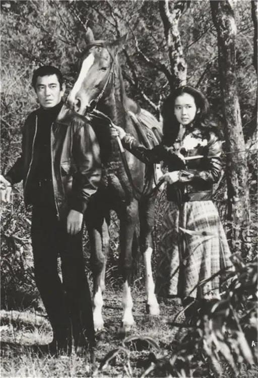 一部《追捕》让高仓健 中野良子在中国大受欢迎
图 刘琼 白杨 张瑞芳会见了高仓健