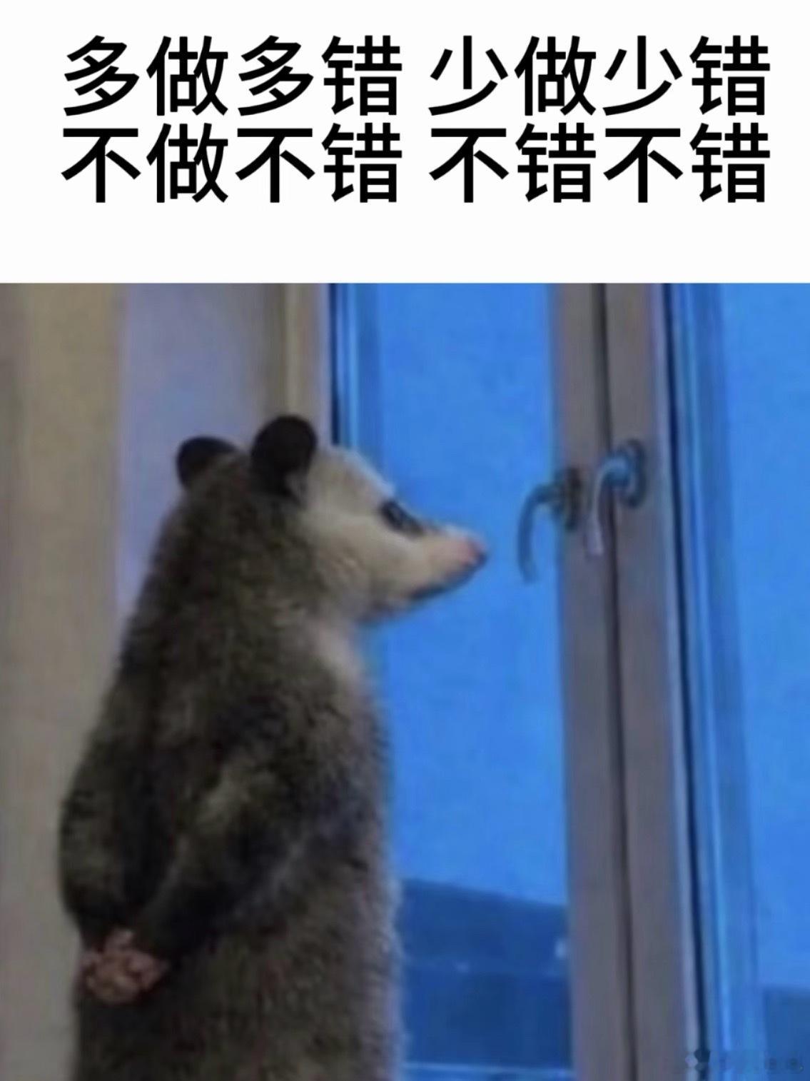 突然意识到，要想“正常生活”，只能考公 