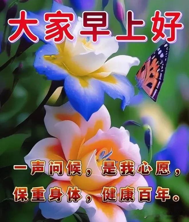 轻轻的问候，真诚的祝福；
愿平安健康，幸福永相伴；
生活又美好，快乐每一天！
[