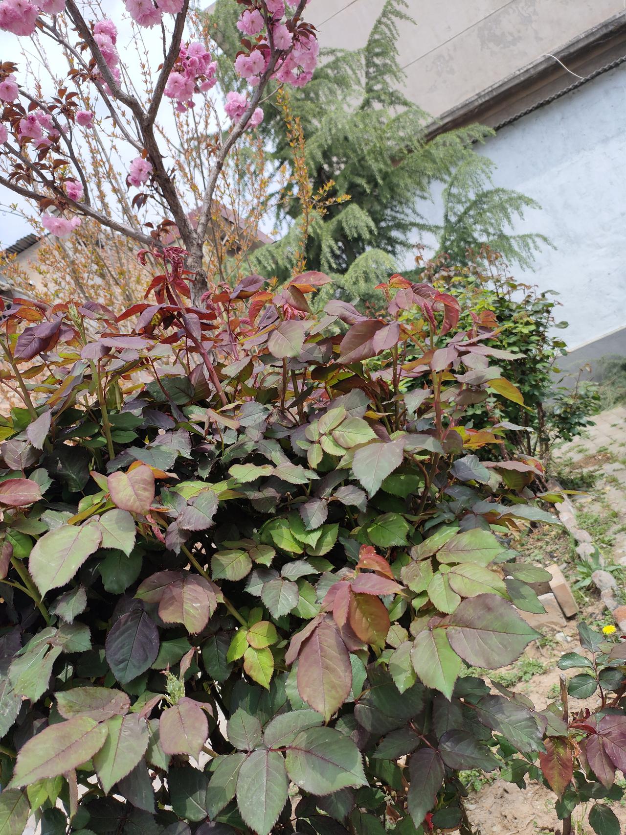 人生苦短，别跟自己较劲，对自己好点比啥都强
 
咱活这一辈子，总想着事事顺心，想