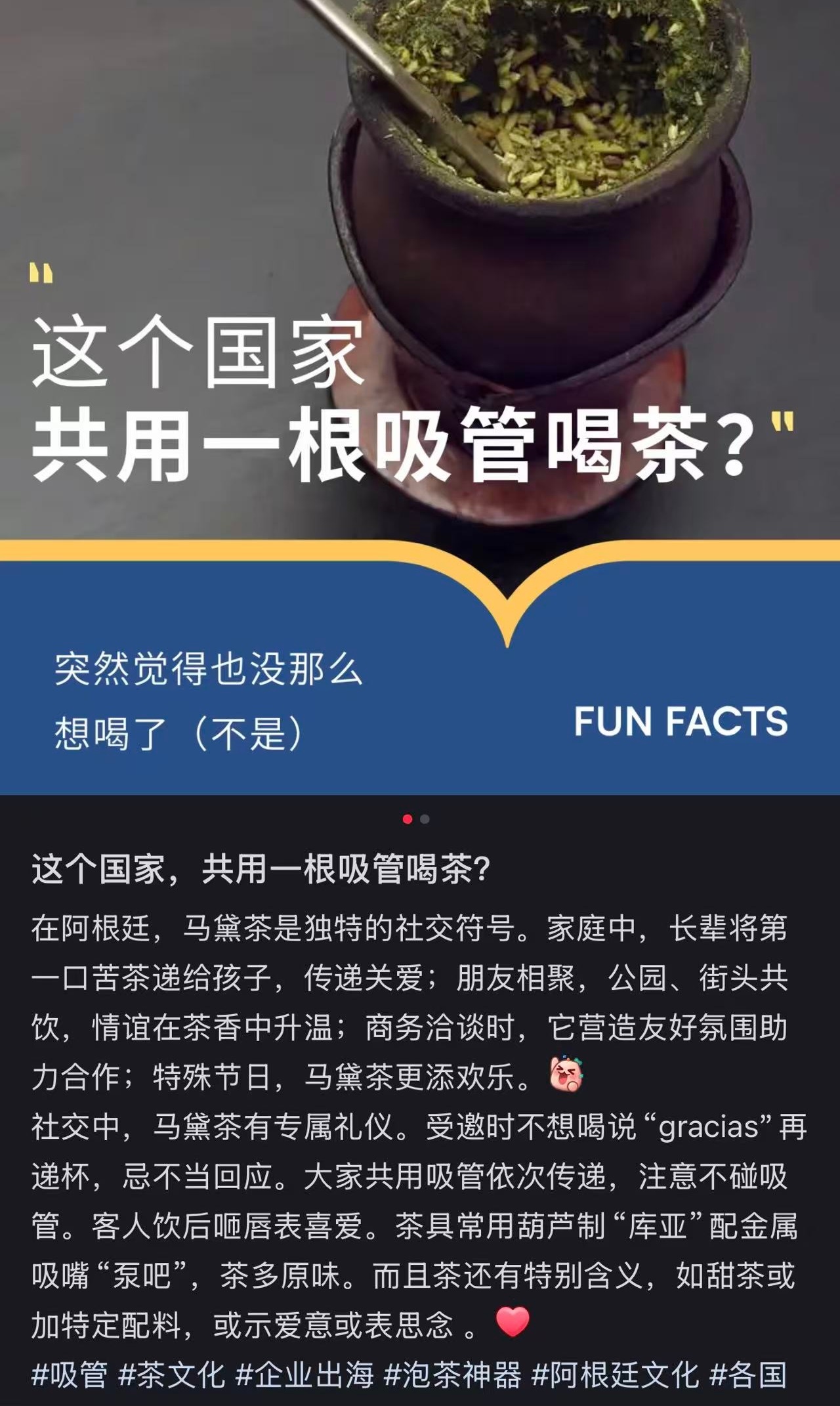 每天跟着我担get新知识真不错呀 马黛茶🧉 
