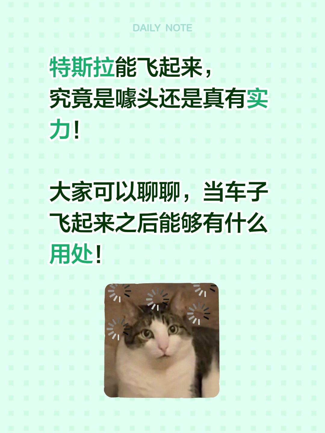 目前看到一个观点，可以防止后面车子出现 不能停止的情况！飞起来避让。特斯拉 会飞