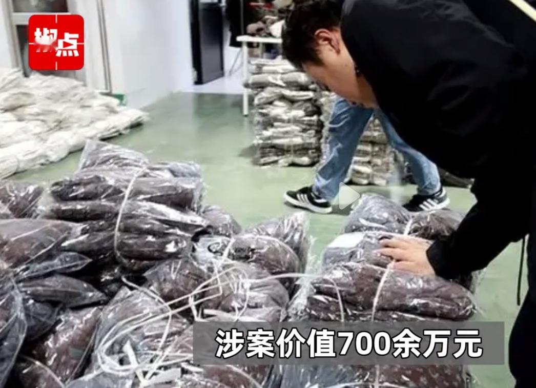 近日，湖南织里公安捣毁假羽绒服窝点，7万件羽绒服含绒量0！用“粉碎毛”以次充好，
