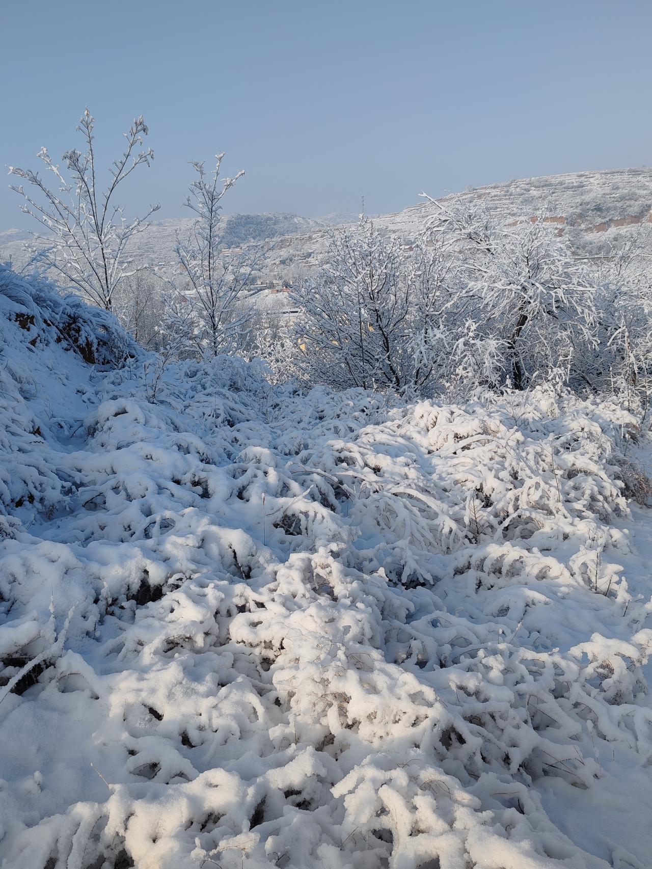老家农村的风景,是不是也很迷人?