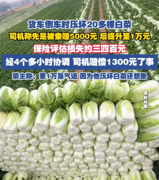 二十多棵白菜，保险公司定损三四百，司机最后掏了一千三。
 
辽宁辽阳，葛先生开半