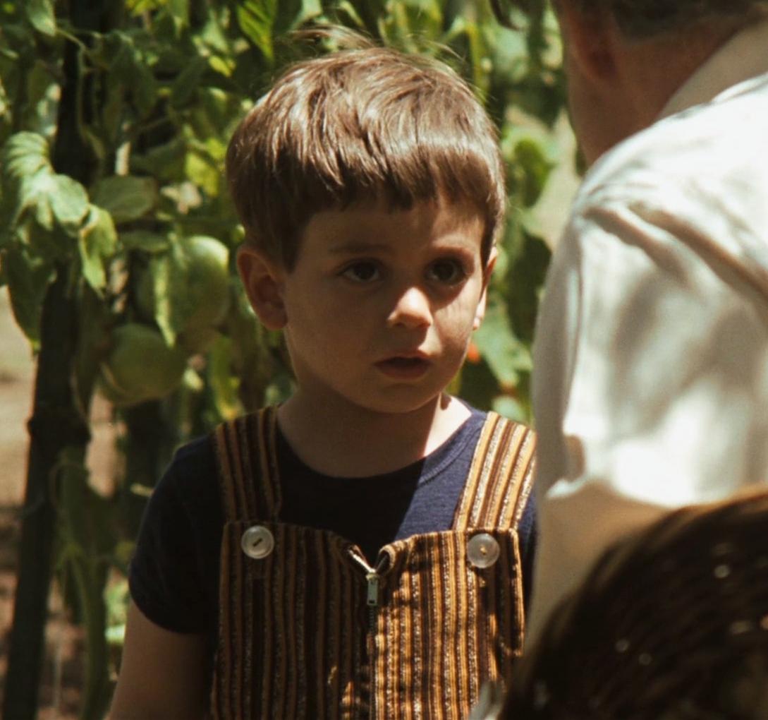 电影《教父》安东尼小萌娃后来长歪了没有？
在小说《教父》里，迈克尔生了两个儿子，