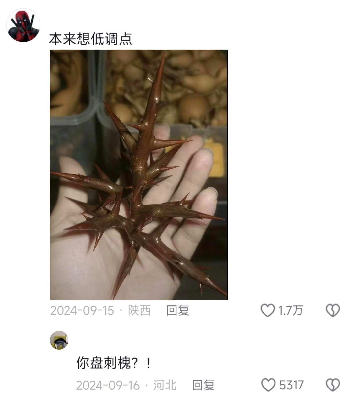 万物皆可盘的中国人..... ​​​