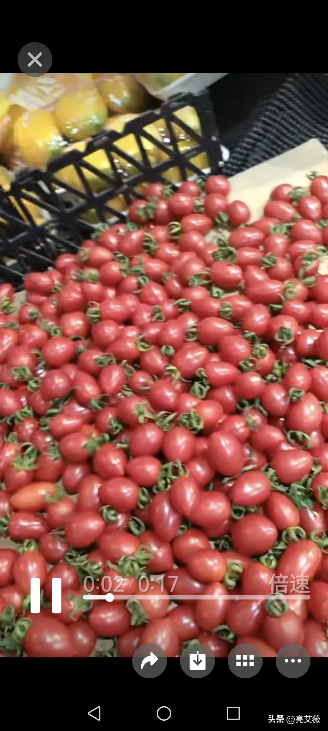 我是中国的一个普通退休老人我虽然退休金不高但我感觉到作为一个中国人真是太幸福了。