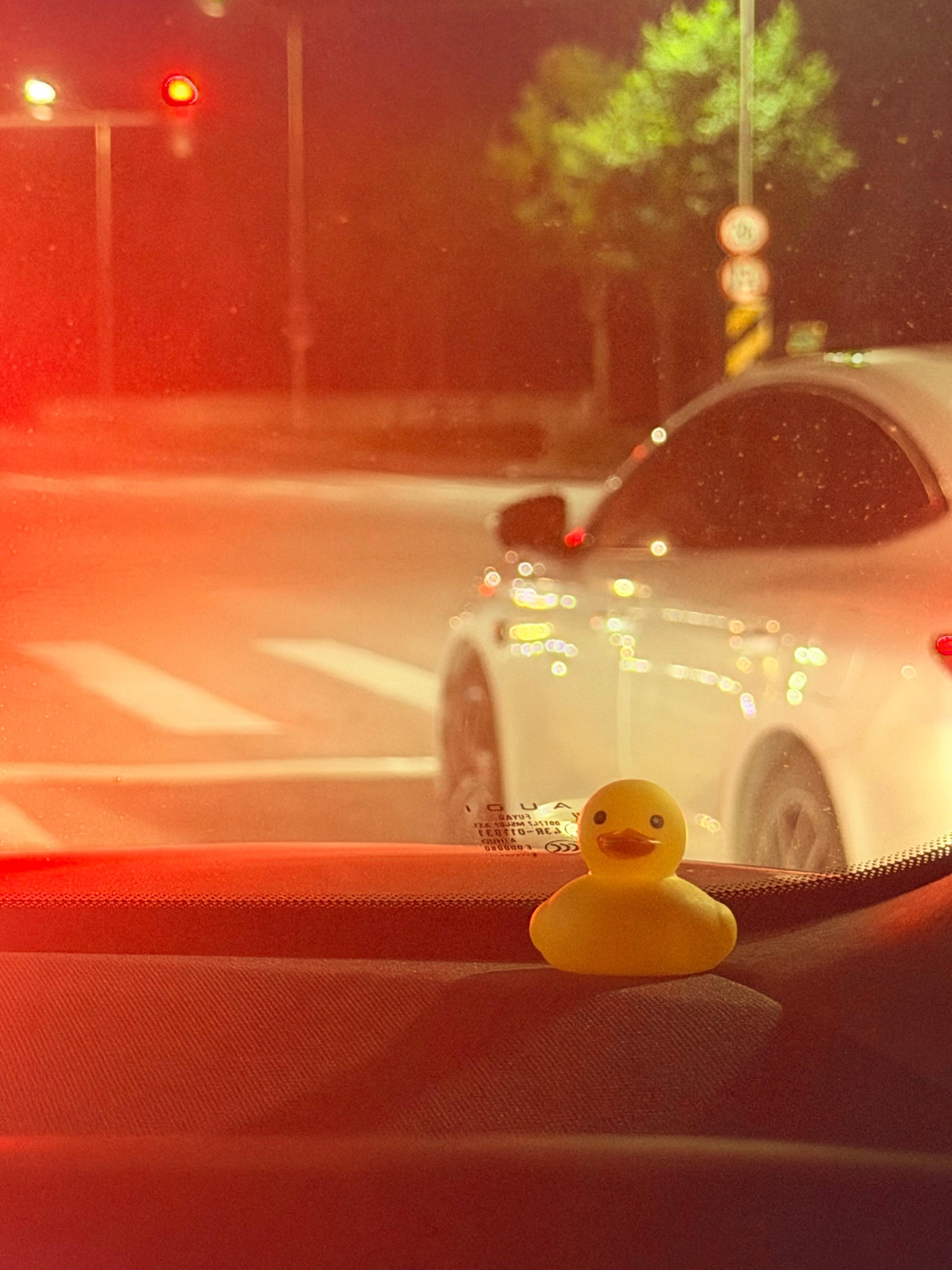 回家啦～ 